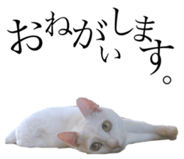 572060295