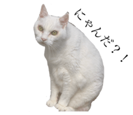 572060300