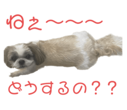572108030