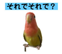 572108896