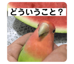 572108912
