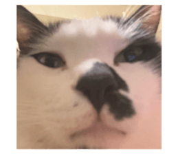572172013