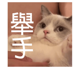 572192215
