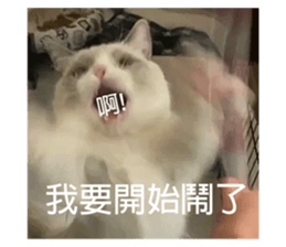 572192218