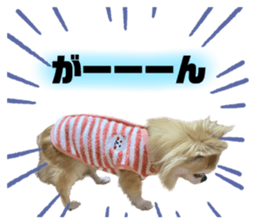 572293823