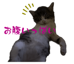 572312966