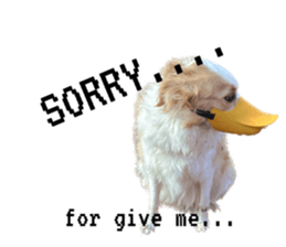 572315848