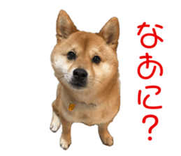 572318783