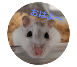 572320144