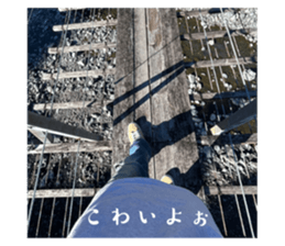 572328177