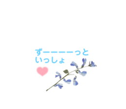 572339647