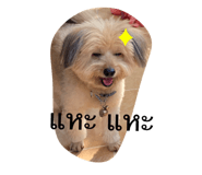 572343233