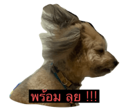 572343237