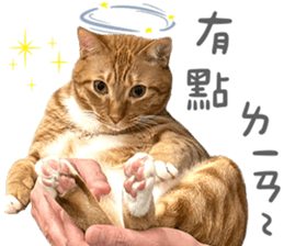 572438201