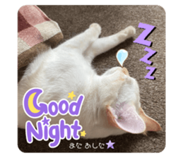 572440823