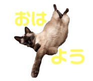 572440879