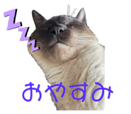 572440880