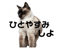 572440895
