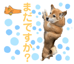 572458690