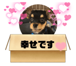 572467071
