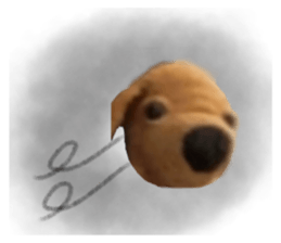 572525510