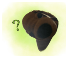 572525534