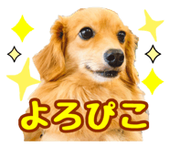 572526350