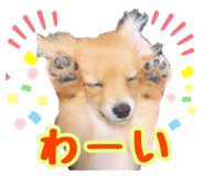 572526351