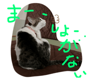 572535435