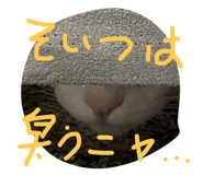572535436
