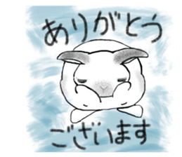 572555918