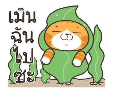 เหมียวซ่า : อควอเรียม รูปที่ 11
