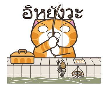 เหมียวซ่า : อควอเรียม รูปที่ 13