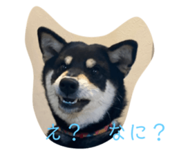 572582355