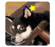 572604993