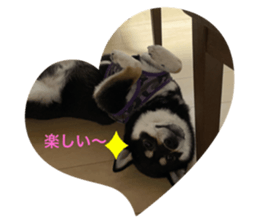 572604999