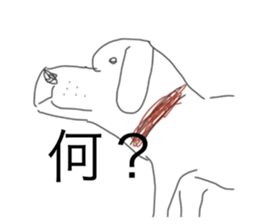 572606295
