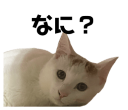 572608123