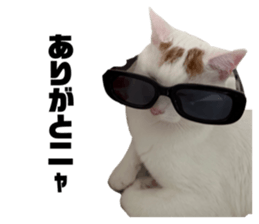 572608125