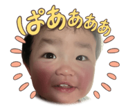 572756954