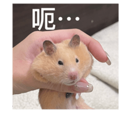 572767759