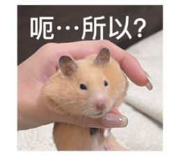 572767760