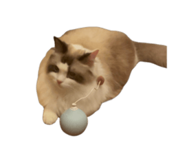 572820122