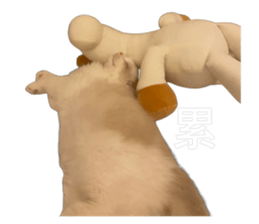 572820131