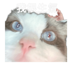 572820133