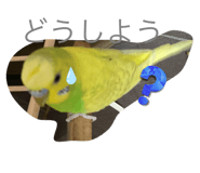 572822905