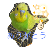 572822908