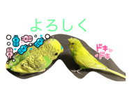 572822909