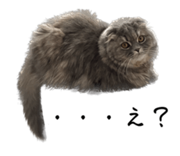 572831803