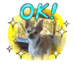 572837951